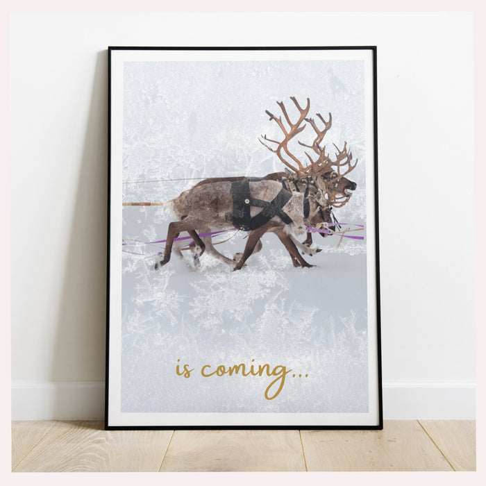 Christmas Printable Wall Art, Holiday Printable Christmas Poster, Merry Christmas Print, Christmas Art Holiday Decor DIGITAL DOWNLOAD, Boho