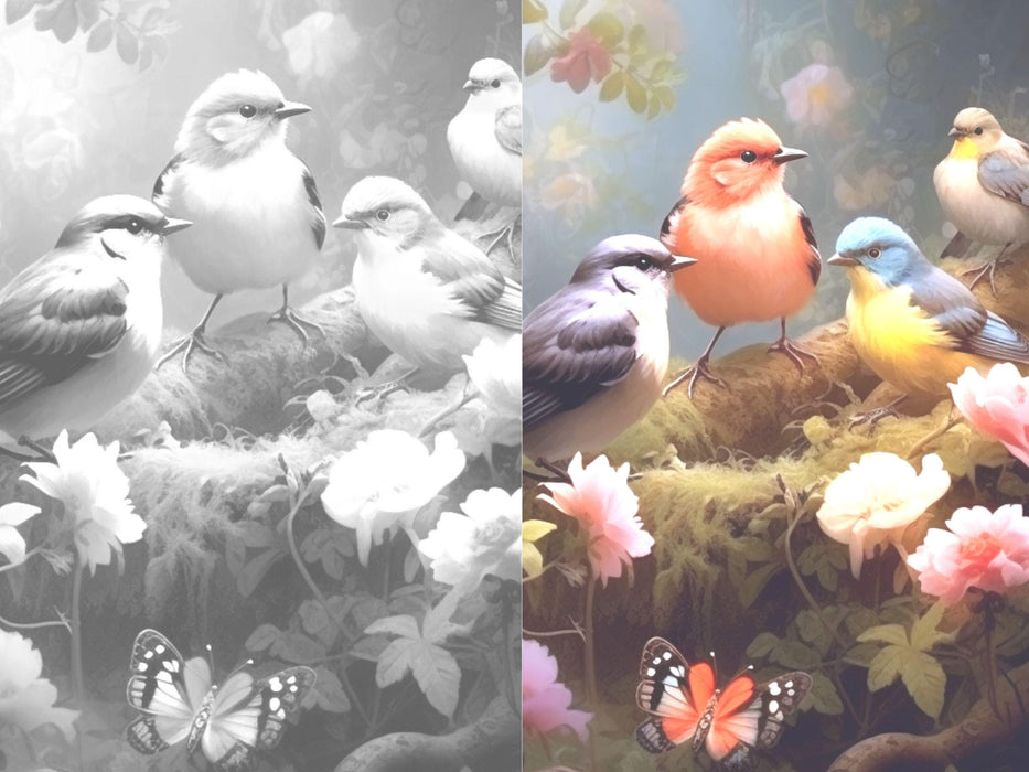 Secret garden | delicate printable adult grayscale colouring book pages | set of 25 printable coloring in pages instant digital download pdf