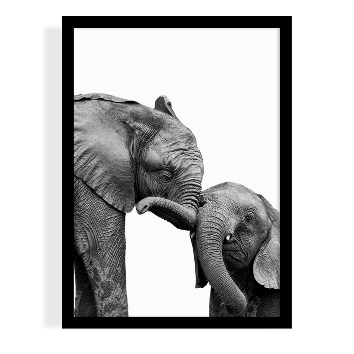HUGGING ELEPHANTS - PEEKABOO