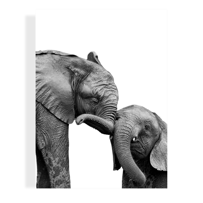 HUGGING ELEPHANTS - PEEKABOO
